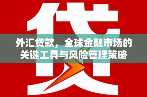 康县外汇贷款，全球金融市场的关键工具与风险管理策略