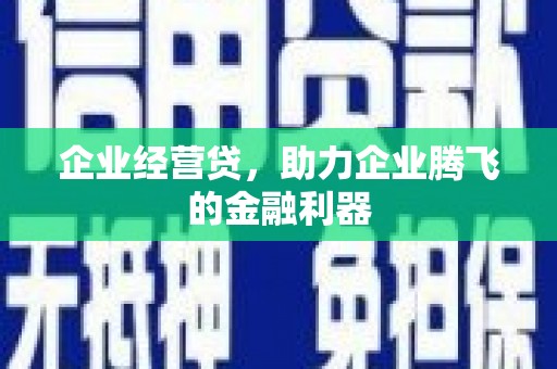 康县企业经营贷，助力企业腾飞的金融利器