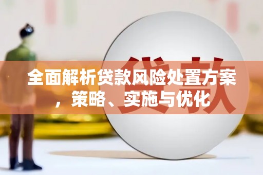 康县全面解析贷款风险处置方案，策略、实施与优化