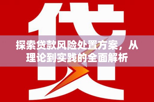 康县探索贷款风险处置方案，从理论到实践的全面解析