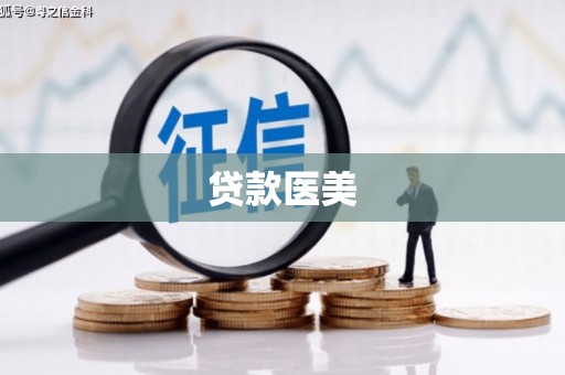 康县贷款医美