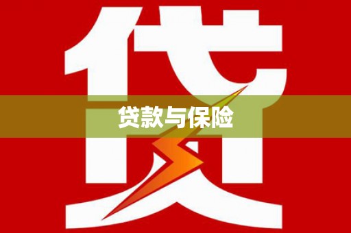 康县贷款与保险