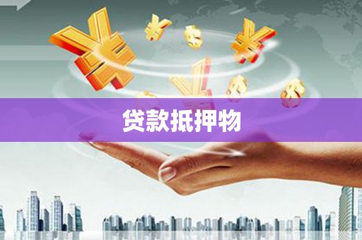 康县贷款抵押物