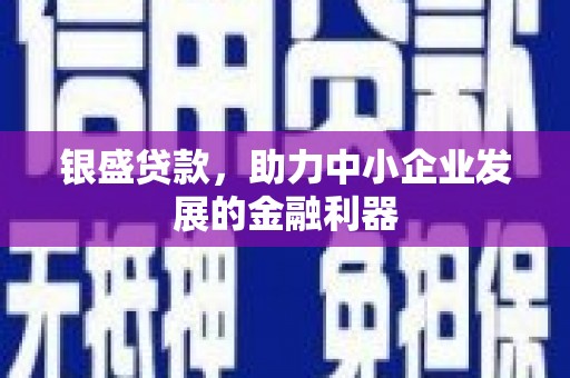 康县银盛贷款，助力中小企业发展的金融利器