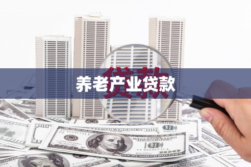 康县养老产业贷款