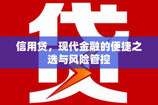 康县信用贷，现代金融的便捷之选与风险管控