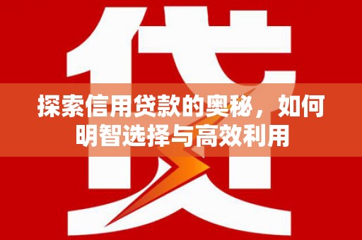 康县探索信用贷款的奥秘，如何明智选择与高效利用