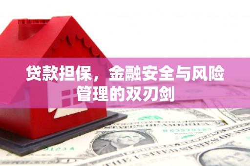 康县贷款担保，金融安全与风险管理的双刃剑