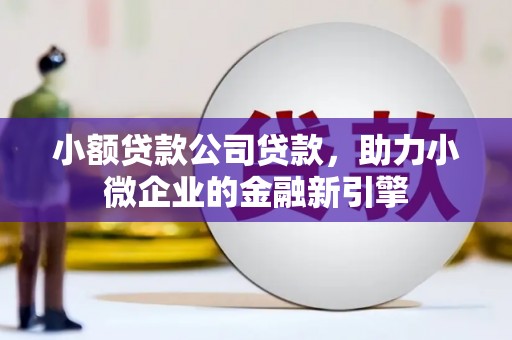 康县小额贷款公司贷款，助力小微企业的金融新引擎