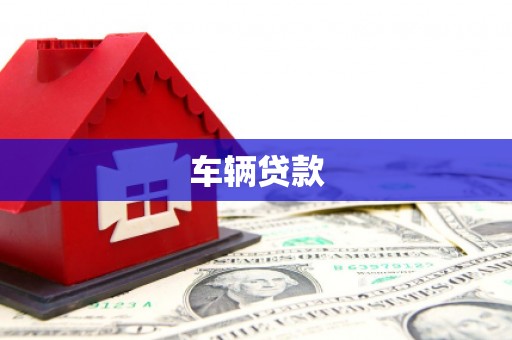 康县车辆贷款