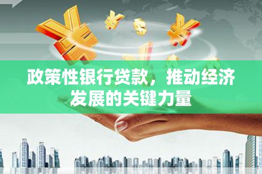 康县政策性银行贷款，推动经济发展的关键力量