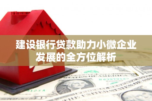 康县建设银行贷款助力小微企业发展的全方位解析