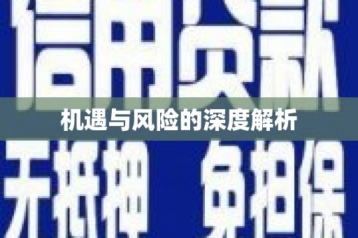 康县机遇与风险的深度解析