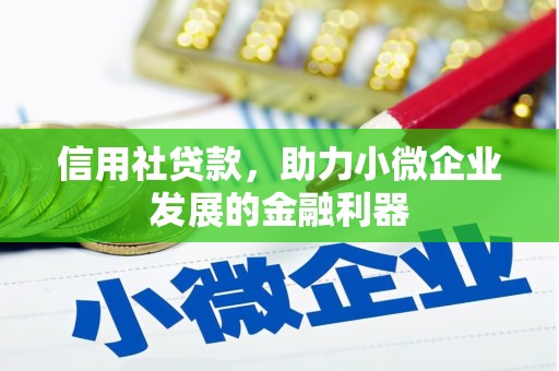 康县信用社贷款，助力小微企业发展的金融利器