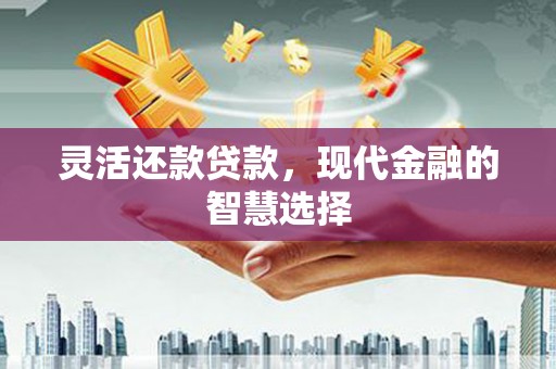 康县灵活还款贷款，现代金融的智慧选择