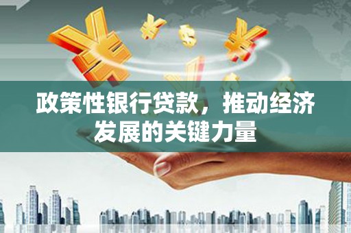 康县政策性银行贷款，推动经济发展的关键力量