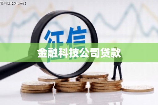 康县金融科技公司贷款