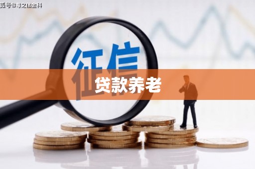 康县贷款养老