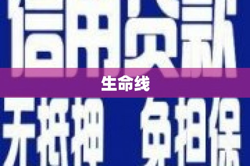 康县生命线