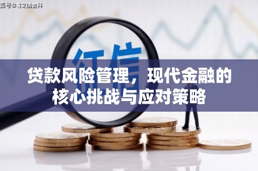 康县贷款风险管理，现代金融的核心挑战与应对策略