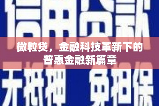 康县微粒贷，金融科技革新下的普惠金融新篇章