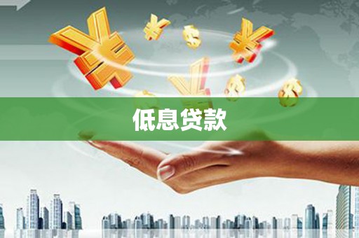 康县低息贷款