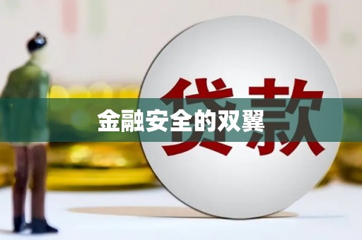 康县金融安全的双翼