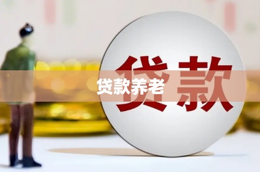 康县贷款养老