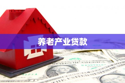康县养老产业贷款