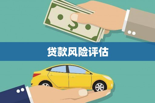 康县贷款风险评估