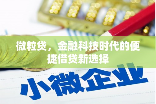康县微粒贷，金融科技时代的便捷借贷新选择