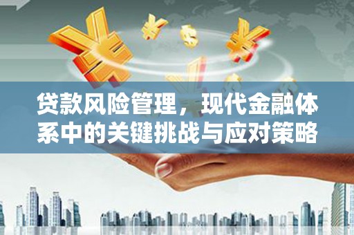 康县贷款风险管理，现代金融体系中的关键挑战与应对策略