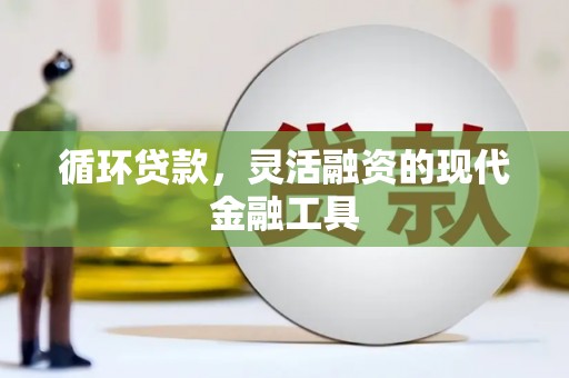 康县循环贷款，灵活融资的现代金融工具