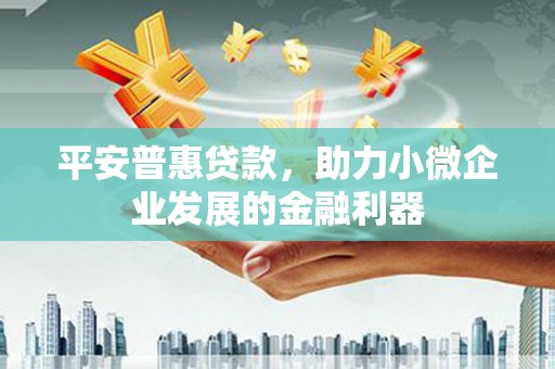 康县平安普惠贷款，助力小微企业发展的金融利器