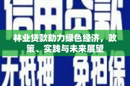 康县林业贷款助力绿色经济，政策、实践与未来展望