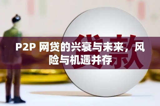 康县P2P 网贷的兴衰与未来，风险与机遇并存