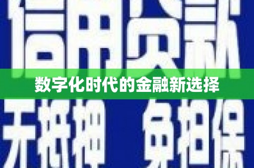 康县数字化时代的金融新选择