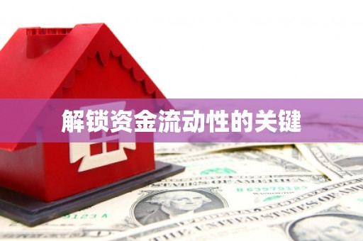 康县解锁资金流动性的关键
