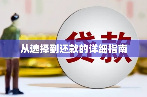 康县从选择到还款的详细指南