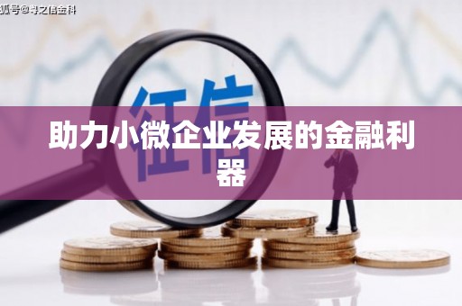 康县助力小微企业发展的金融利器