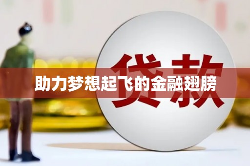 康县助力梦想起飞的金融翅膀