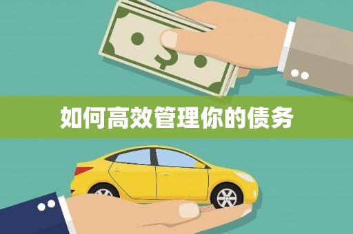 康县如何高效管理你的债务
