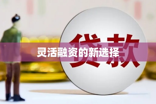 康县灵活融资的新选择