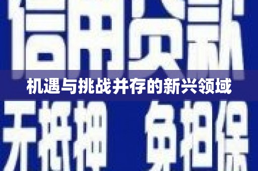康县机遇与挑战并存的新兴领域