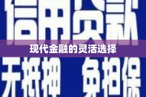 康县现代金融的灵活选择