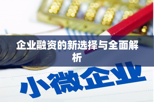 康县企业融资的新选择与全面解析