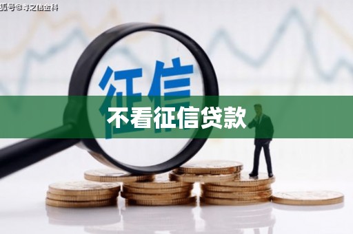 康县不看征信贷款