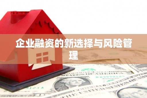 康县企业融资的新选择与风险管理