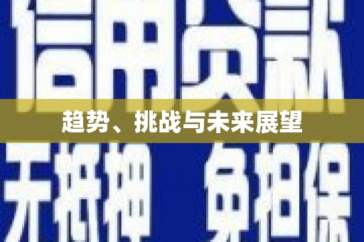 康县趋势、挑战与未来展望