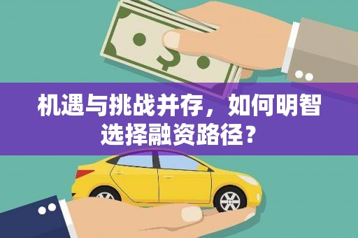 康县机遇与挑战并存，如何明智选择融资路径？